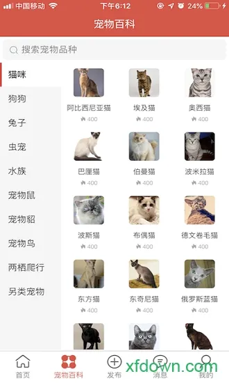 得宠领养app下载-得宠领养下载v2.0.0 安卓版